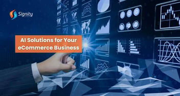 Cost-Effective AI Solutions for Your eCommerce Business
