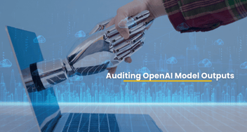 Transparency and Accountability: Auditing OpenAI Model Outputs