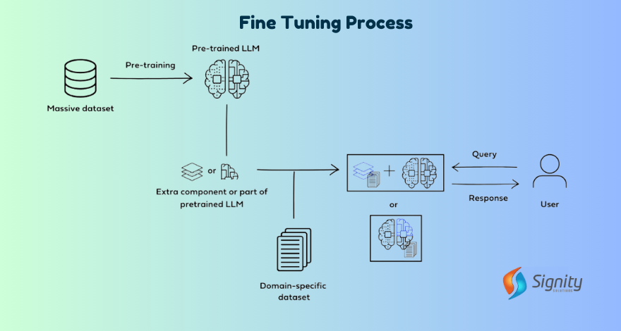 Fine Tuning Process