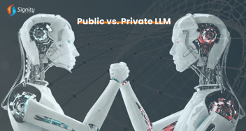 Choosing The Right LLM: Public vs. Private LLM