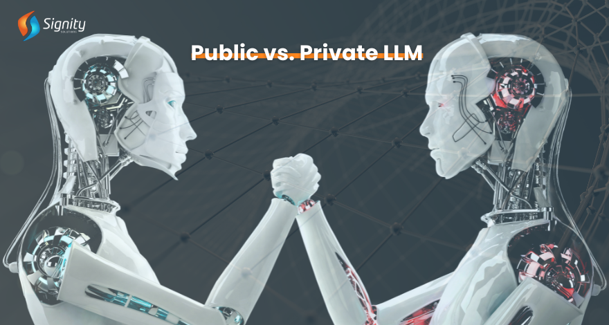  Public vs. Private LLM 